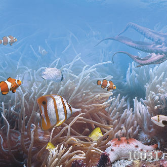 Подводный мир