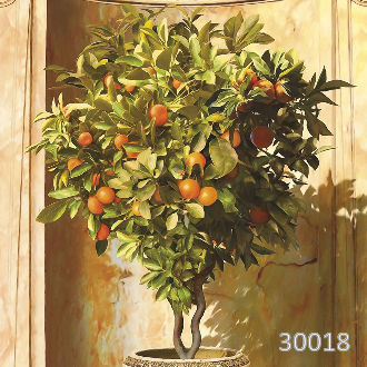 Мандариновое деревце в нише