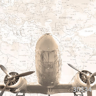 Самолет и карта