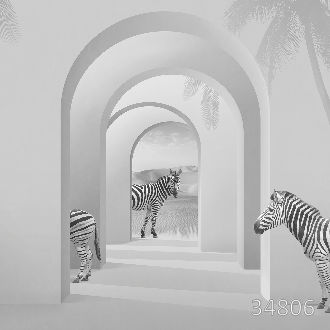 Зебры в пространстве