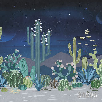 Flowering cacti
